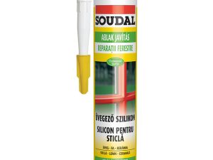 Silicon sticla, transparent, 280ml