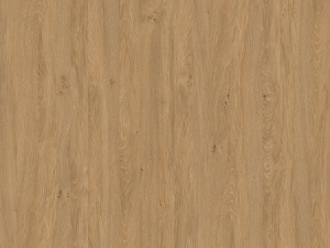Stejar piatra 5527 SN, 5527 Stone Oak
