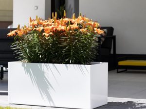 Jardiniera fibra