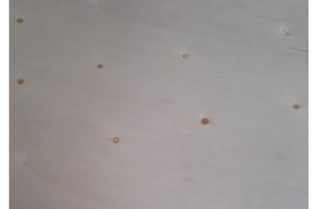 Placaj plop - 2500 x 1220 x 15 mm - C/C