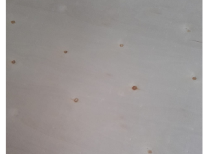 Placaj plop - 2500 x 1220 x 15 mm - C/C