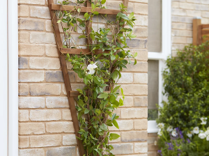 Grilaj din lemn tip evantai, H 120 cm x L 68 cm, ideal pentru susținerea plantelor cățărătoare în grădină, terasă sau balcon.