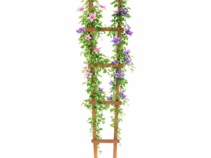 Sprijin plante